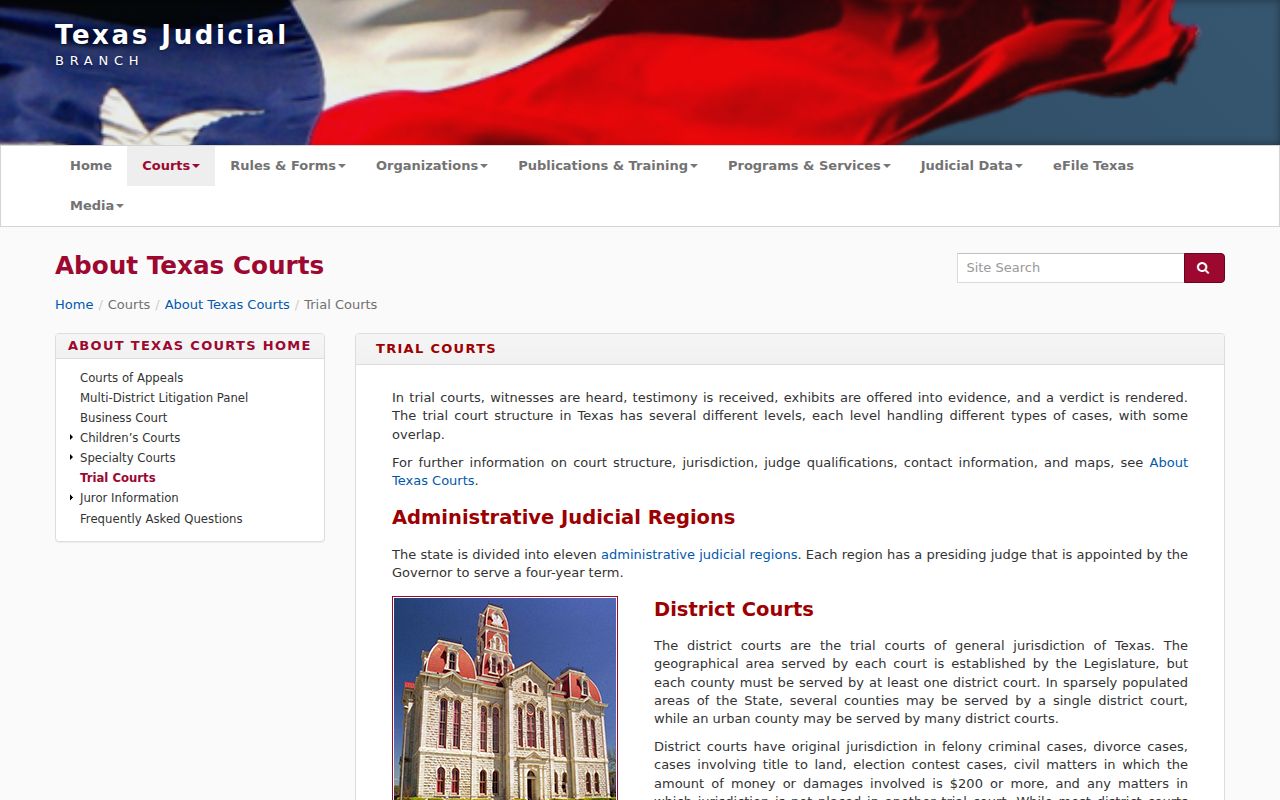 Texas trial court jurisdiction for Tyler County criminal court cases